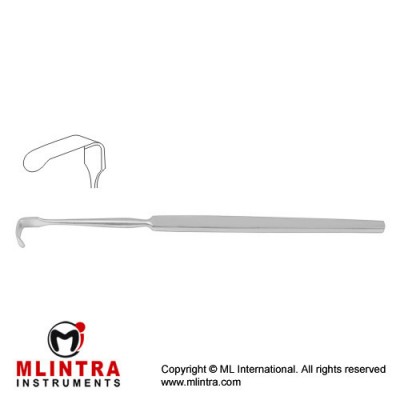 Senn-Green Retractor Fig. 1 Stainless Steel, 15 cm - 6" Blade Size 20 x 6 mm
